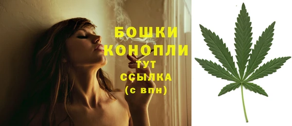 мет Надым