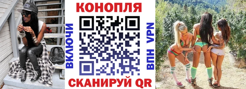 Канабис конопля Шацк